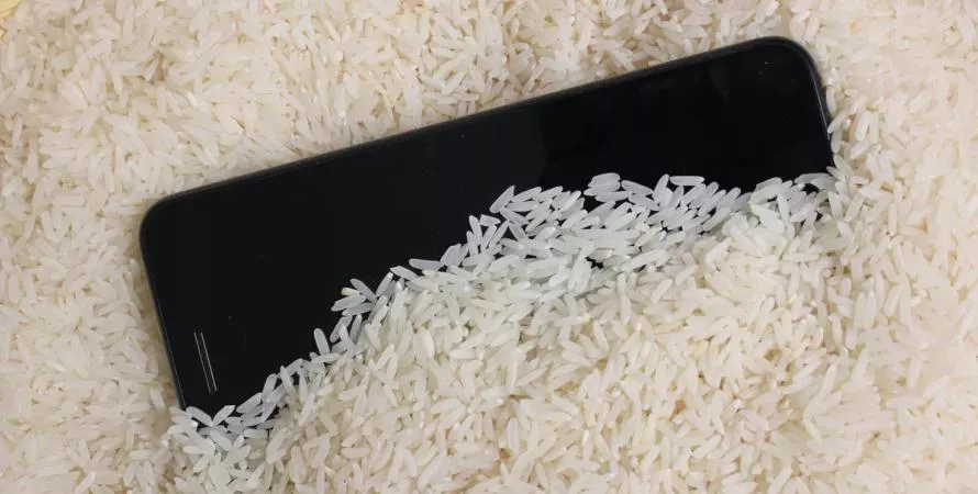 Oubliez le riz pour sauver votre iPhone mouillé, Apple explique pourquoi