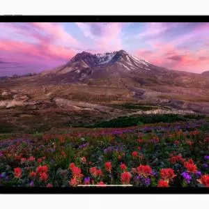 Apple suspend la mise à jour iPadOS 18 pour les iPad Pro M4 suite à des dysfonctionnements