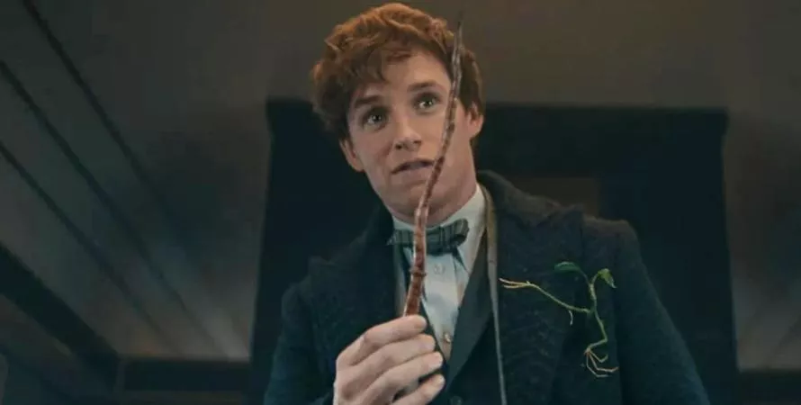 Les Animaux Fantastiques : la fin d'une saga ? Eddie Redmayne brise le silence