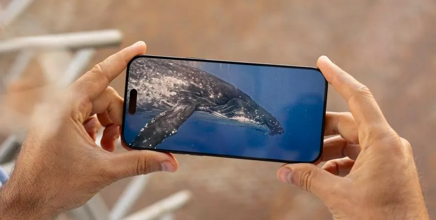 Les écrans de smartphones qui dominent en 2024