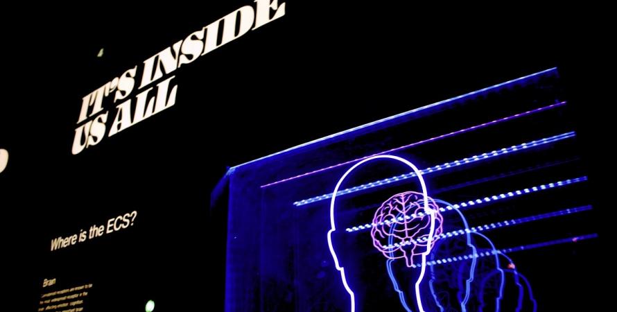 Apple prépare une interface cerveau-machine sans chirurgie Apple prépare une interface cerveau-machine sans chirurgie