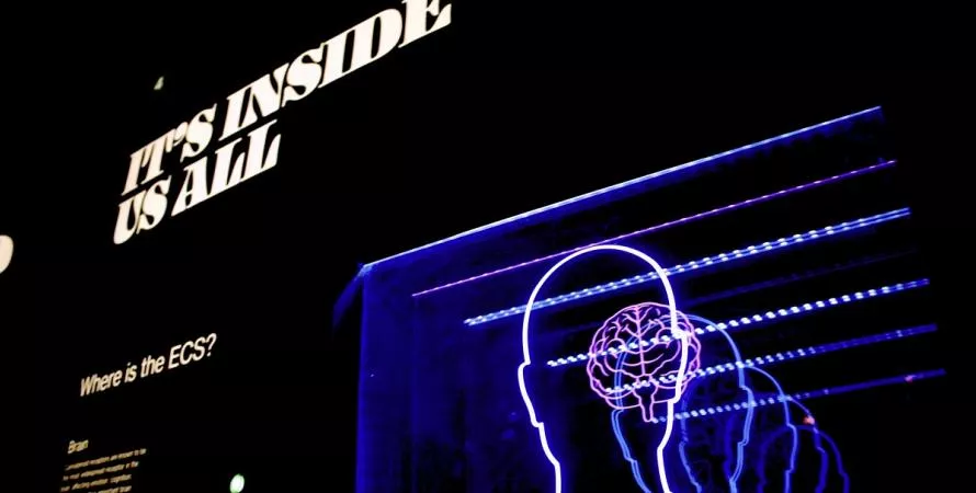 Apple prépare une interface cerveau-machine sans chirurgie
