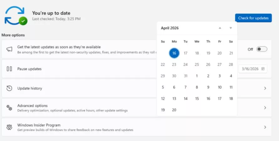 Windows 11 : Microsoft vous laisse enfin souffler avec les mises à jour